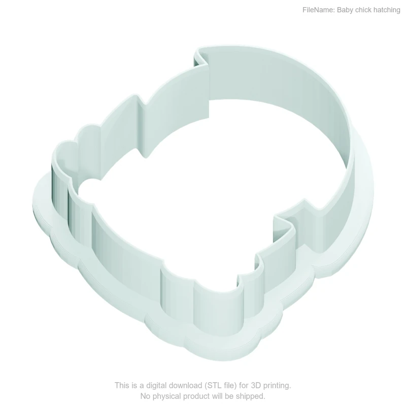 Baby chick hatching - Image 2