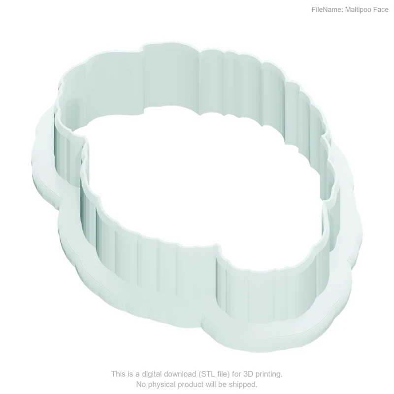 Maltipoo Face - Image 2