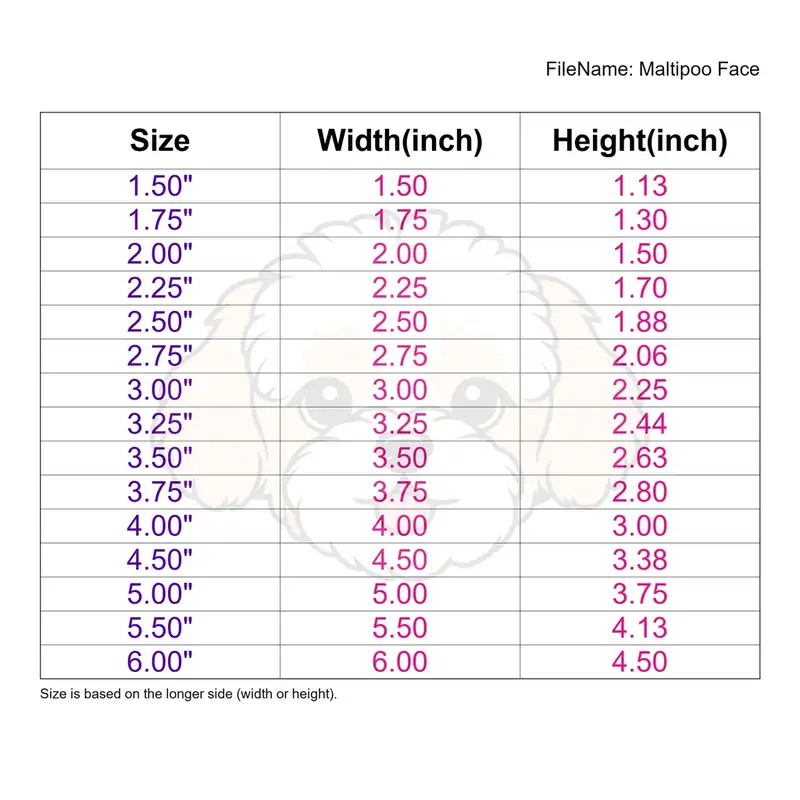 Maltipoo Face - Image 3