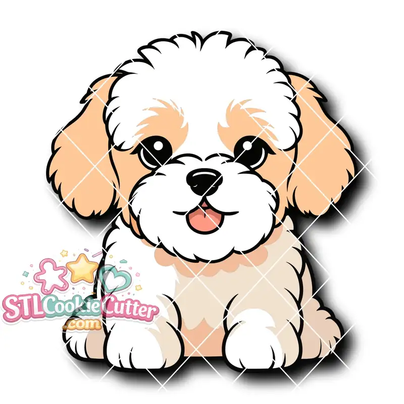Maltipoo