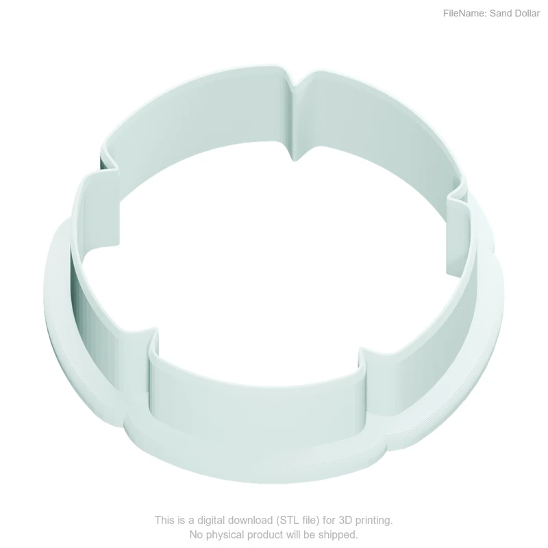 Sand Dollar - Image 2