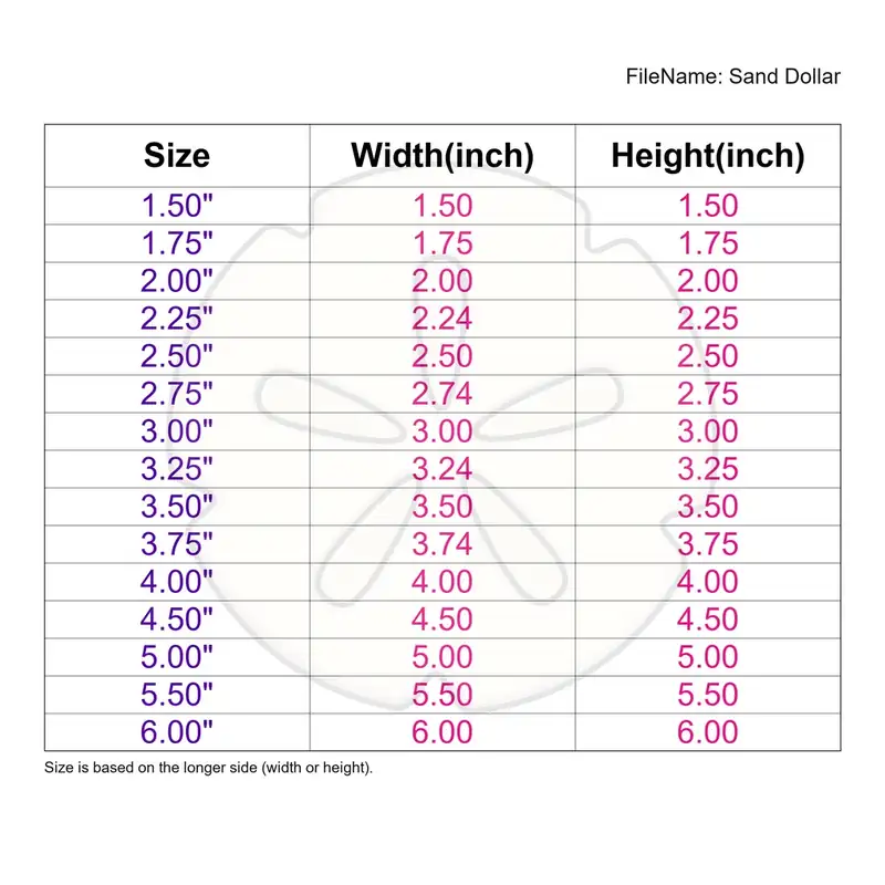Sand Dollar - Image 3